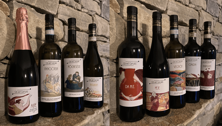 Produzione vino Cantina Cerutti a Cassinasco, Asti